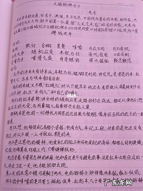【抖音文案】骆驼祥子11到14章好词好句