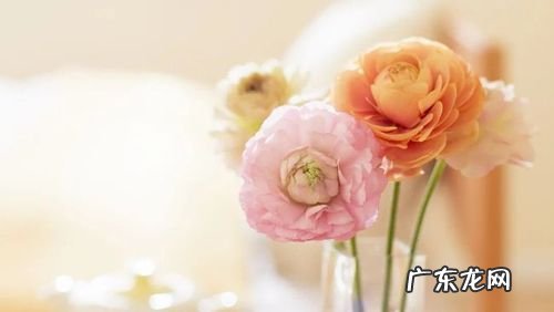 开心快乐的唯美句子说说心情 【抖音文案】开心快乐的唯美句子