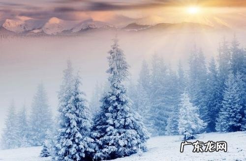 冬天唯美短句十字 【抖音文案】描述冬天的短句