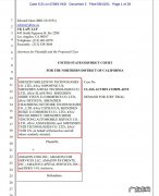 中国卖家针对亚马逊打击好评返现为由提起集体诉讼