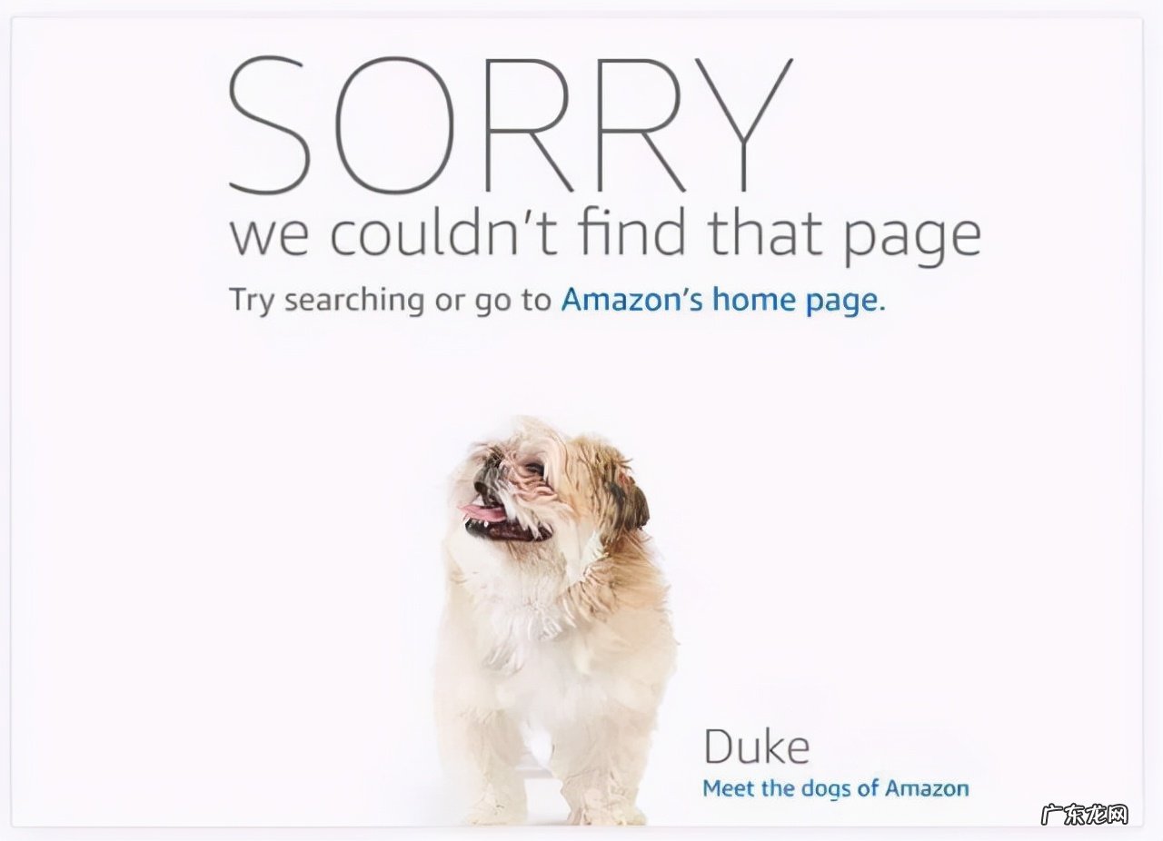 中国卖家针对亚马逊打击好评返现为由提起集体诉讼