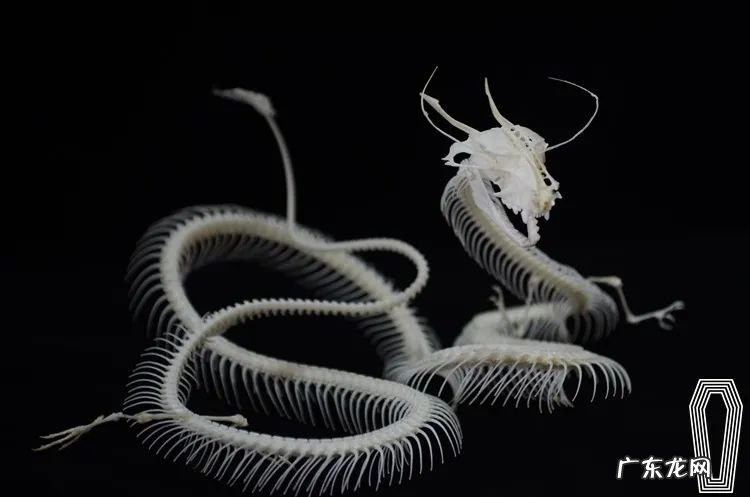 淘宝造物节是干嘛的?什么时候开始?