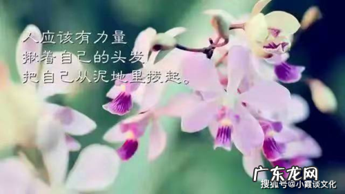 2021最火爱情文案短句 【抖音文案】最火文案短句2021幽默