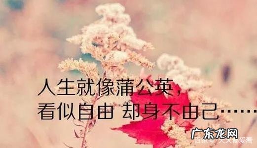 表达父爱如山经典句子 【抖音文案】表达很感动的经典句子