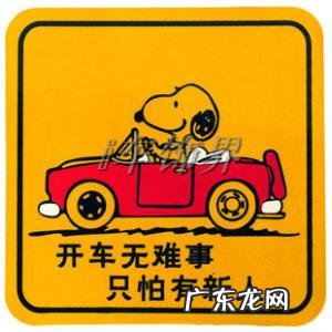 深夜开车的优美句子 【抖音文案】形容开车的优美句子