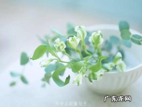 早安赚钱努力赚钱发圈吸引人的句子 【抖音文案】早安发圈吸引人的句子正能量