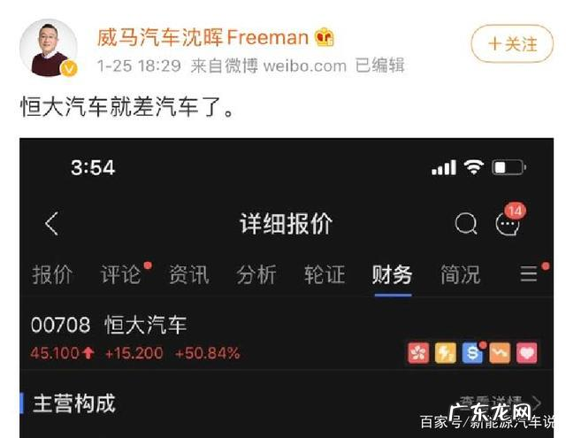 威马汽车成立时间  威马是什么公司的车