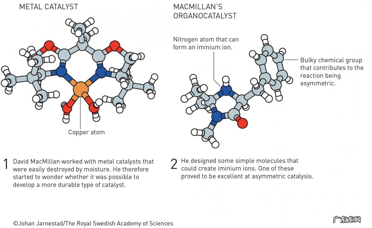 2021年诺贝尔化学奖揭晓！获得者是谁？主要成果是什么？