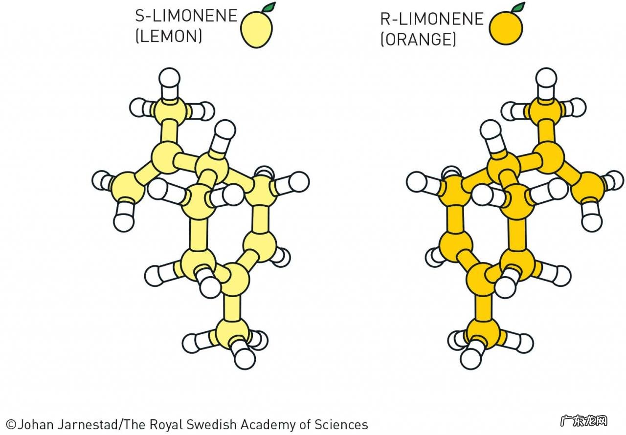 2021年诺贝尔化学奖揭晓！获得者是谁？主要成果是什么？