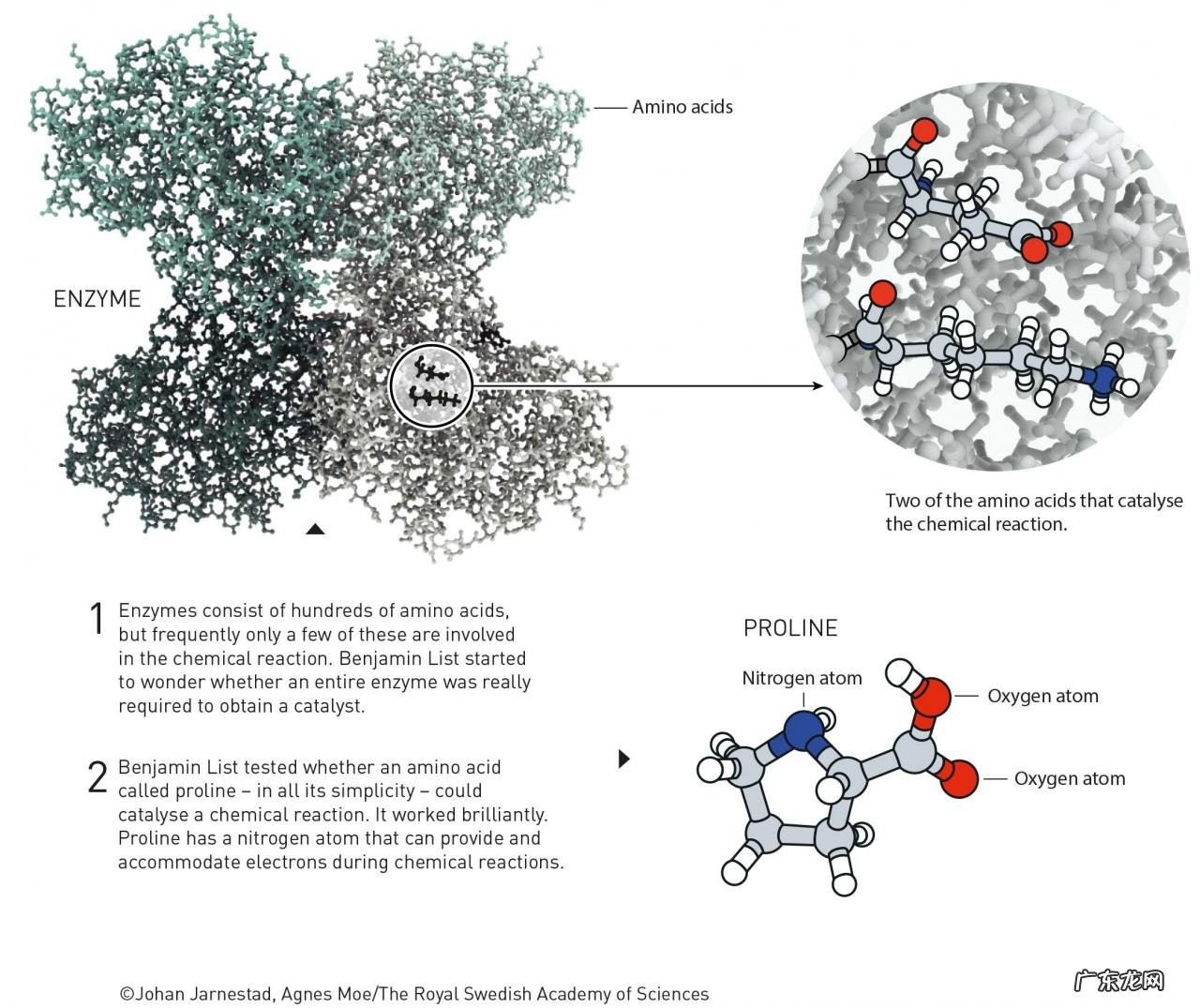 2021年诺贝尔化学奖揭晓！获得者是谁？主要成果是什么？