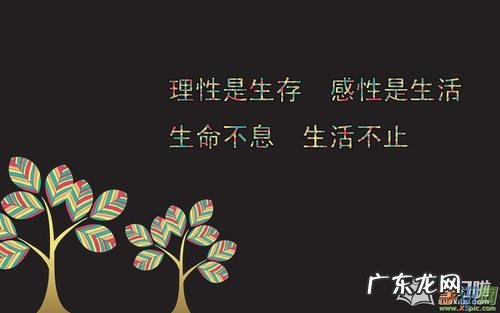 激励人心的句子努力奋斗简短 【抖音文案】激励人心的句子努力奋斗