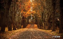 形容秋冬交替的句子 【抖音文案】迎接秋冬的句子