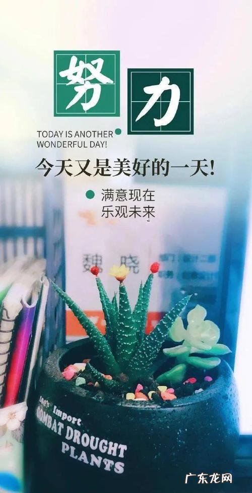 每日一句正能量英语简短 【抖音文案】每日一句正能量简短