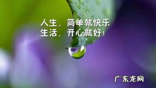 最打动人心的励志句子 【抖音文案】一句话打动人心的句子