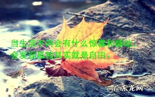心灵感悟与哲理人生文章 【抖音文案】心灵感悟与哲理人生句子