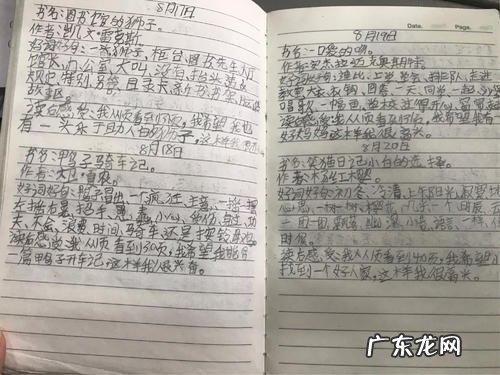 【抖音文案】有关于夏天的好词好句好段