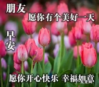 知心朋友的问候祝福语 【抖音文案】给知心朋友的问候短句