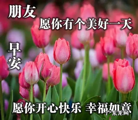知心朋友的问候祝福语 【抖音文案】给知心朋友的问候短句