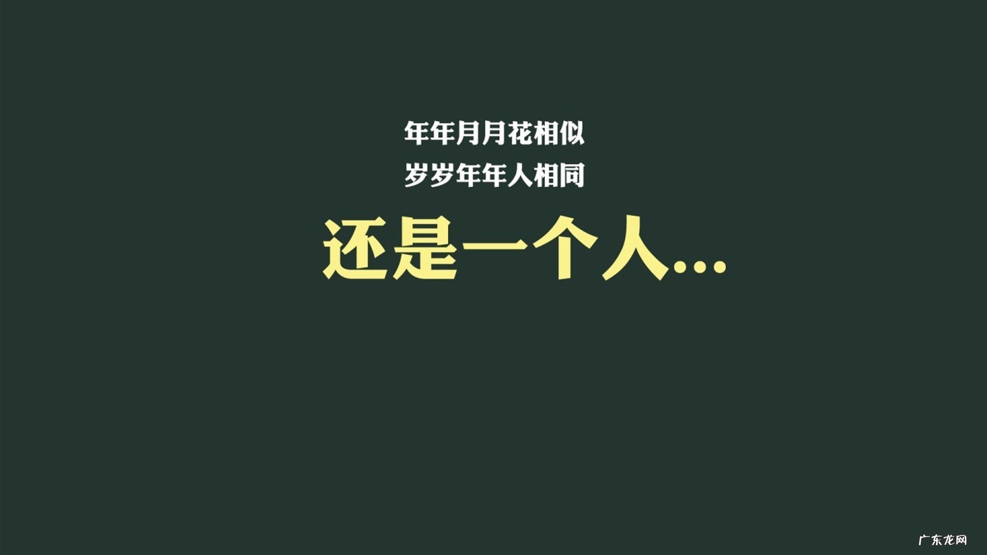 春节期间健康减肥菜谱有哪些?