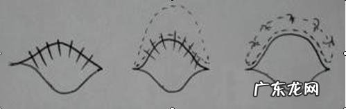 狗类睑内翻病症和治疗方法