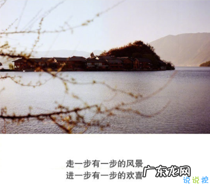 赞美吃野菜的句子说说 【抖音文案】赞美城市美景的句子说说