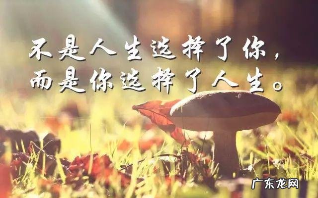 鼓励孩子努力成长正能量的句子 【抖音文案】努力成长自己的正能量的句子