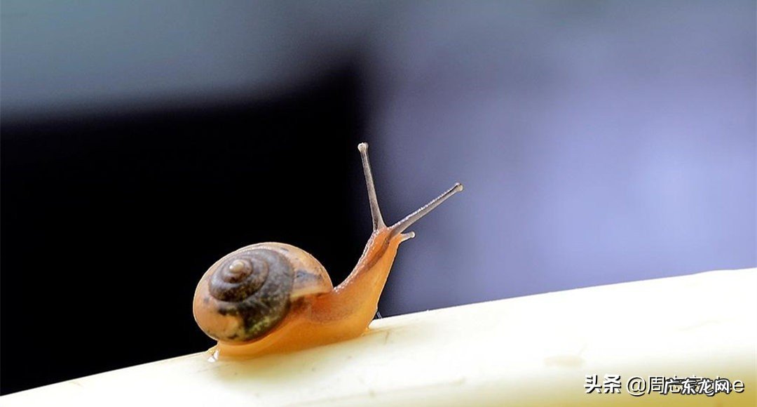 费米速度是多少？电流速度有多快？