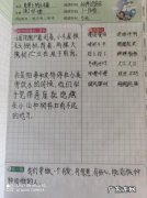 积累好句摘抄大全 【抖音文案】抄写好词好句大全