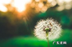 【抖音文案】感叹时间匆匆的佳句