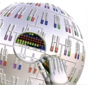 生物在线常用软件汇 生物信息学软件有哪些