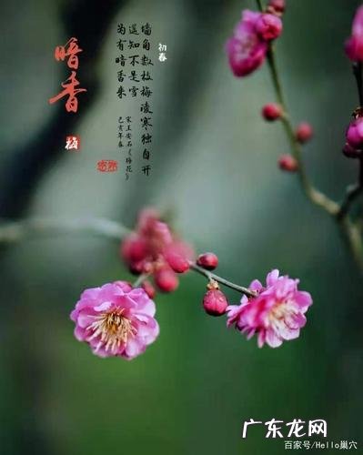 鼓励女人自己变得强大的句子 【抖音文案】鼓励自己内心强大的句子