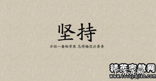 阳光心态正能量的句子简短 【抖音文案】阳光心态正能量的句子励志