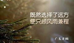 风里雨里励志句子 【抖音文案】关于风的励志句子