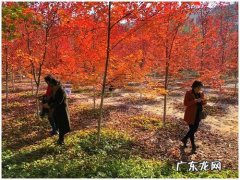 踏秋的优美句子 【抖音文案】踏秋的句子