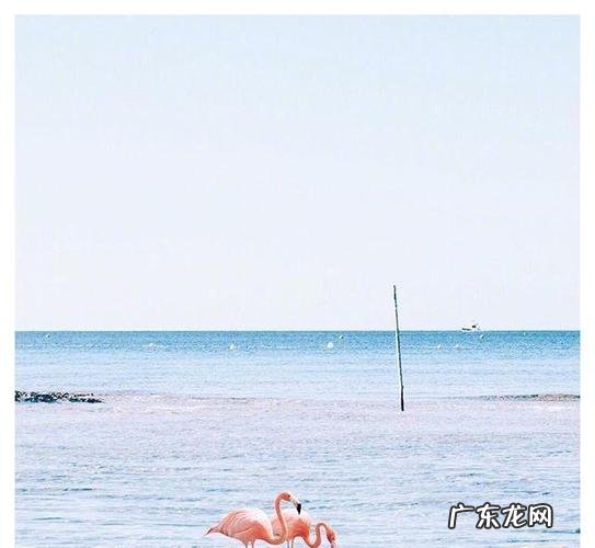 2021年最火的晚安句子 【抖音文案】2021年最火句子文案