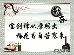 努力就会成功的名言名句 【抖音文案】关于个人努力的名言名句