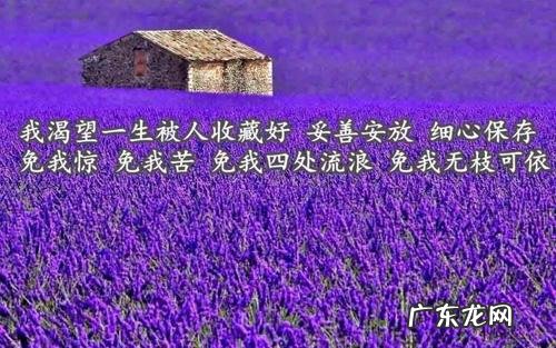 表达眼睛好看的句子 【抖音文案】通过眼睛表达情绪的句子