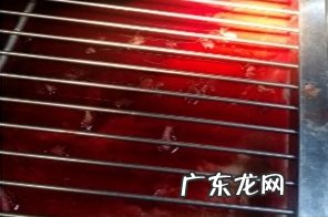 狗狗耳血肿该如何治疗?