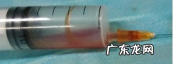 小狗唾液腺囊肿摘除实例