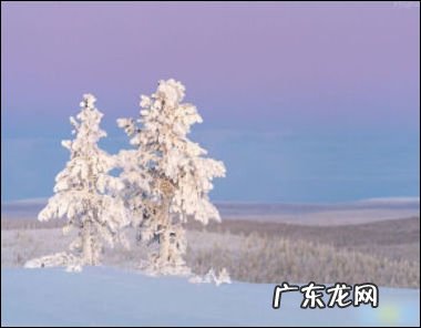 形容冬天的短句子 【抖音文案】形容冬天的短句