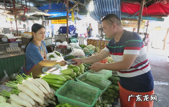 拼多多多多买菜怎么退款？多多买菜怎么运营？