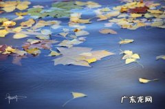 秋的诗句唯美的诗句 【抖音文案】秋入冬的唯美诗句