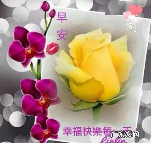 早晨问候语励志 【抖音文案】清晨问候语100句