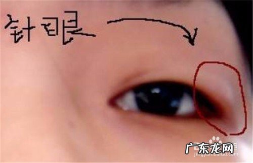 【抖音文案】眼睛会了手不会的句子