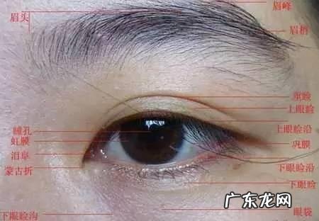 【抖音文案】眼睛会了手不会的句子