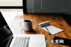 拼多多开店没有营业执照 拼多多商家版没有营业执照可以开店吗？有哪些要求？怎么查拼多多