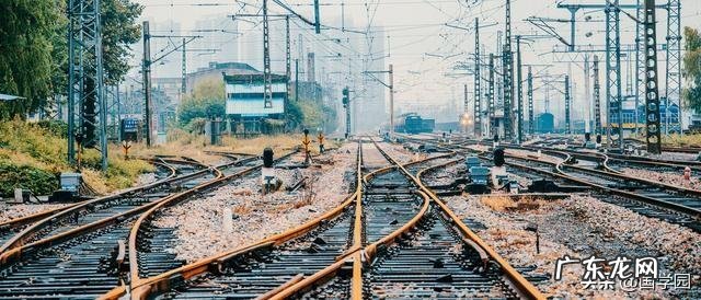 你支持课本中删除朱自清的《背影》吗