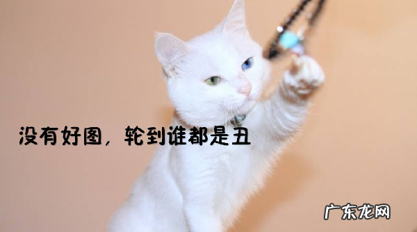 手机淘宝图片设置轮播操作过程 淘宝图片轮播怎么弄