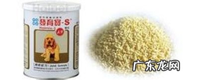 小狗佝偻症疾病预防全集