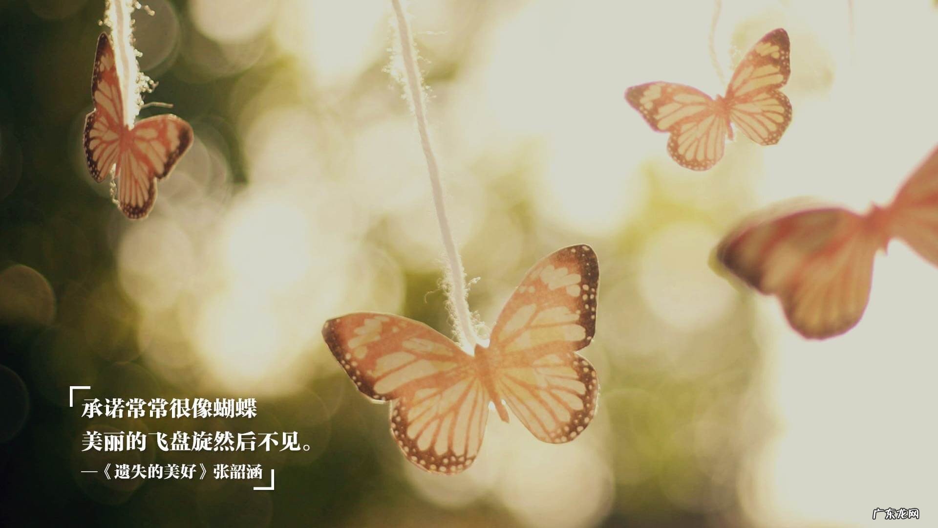 萌星人宠物庄园 #萌星人成长记#宠物生病可以吃人类的药吗?